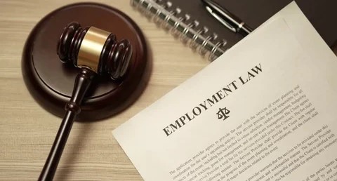 Legal Aspects of Employment: A Practical Guide for Job Seekers and Employees